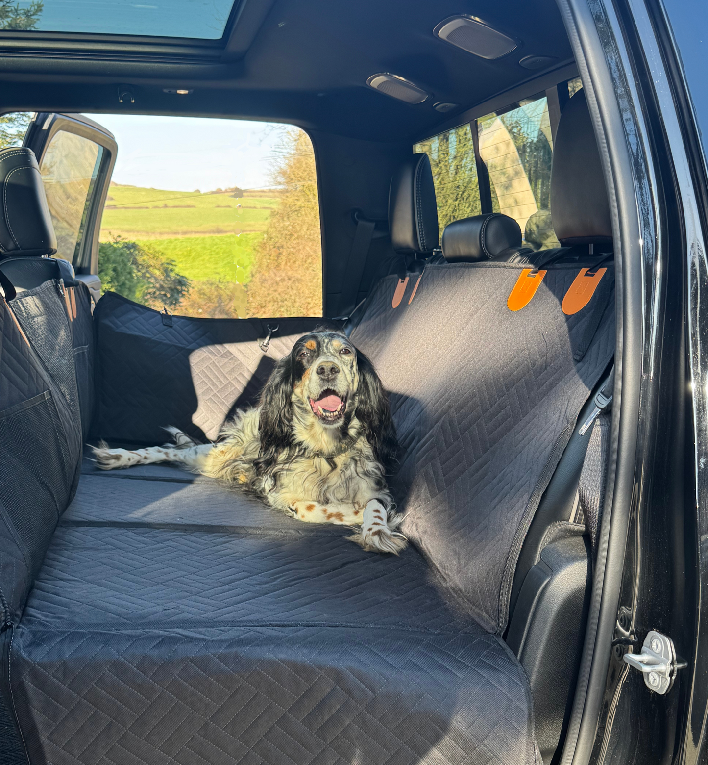 Housse Compawny™   Fini les poils et les griffures en voiture !
